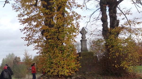 Sur les pavés de Paris-Roubaix